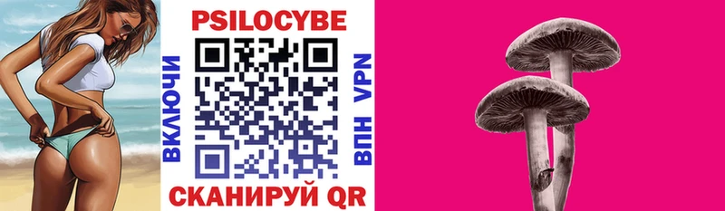 Галлюциногенные грибы Psilocybine cubensis  Купить  Калязин 